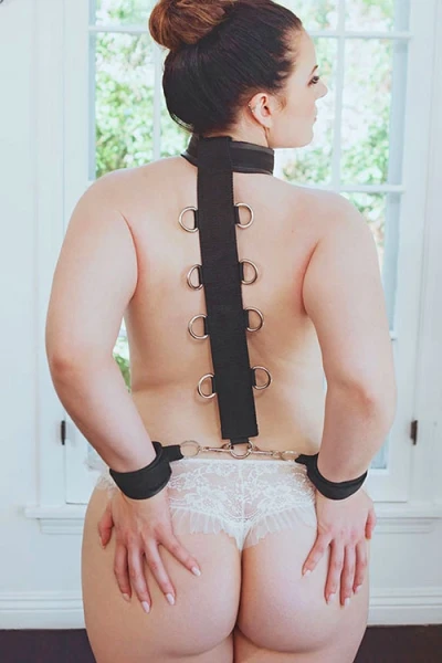 Sportsheets International D-Ring Neck & Wrist Body Restraint System