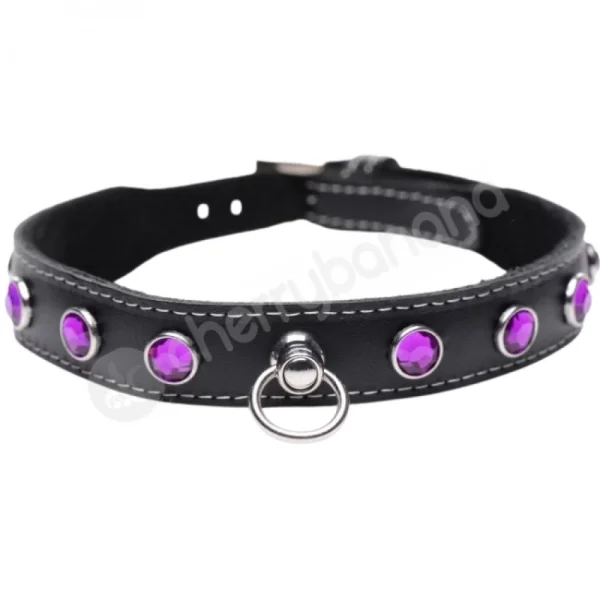 Master Series Bling Vixen Leather Adjustable Choker W/ Purple Rhinestones