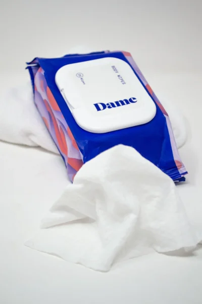 Dame Body Wipes Pouch 25 Count