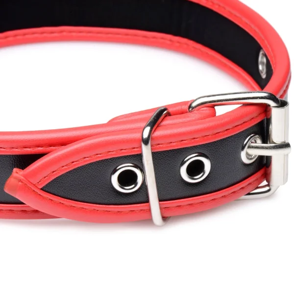 Master Series Scarlet Pet Collar with O-Ring