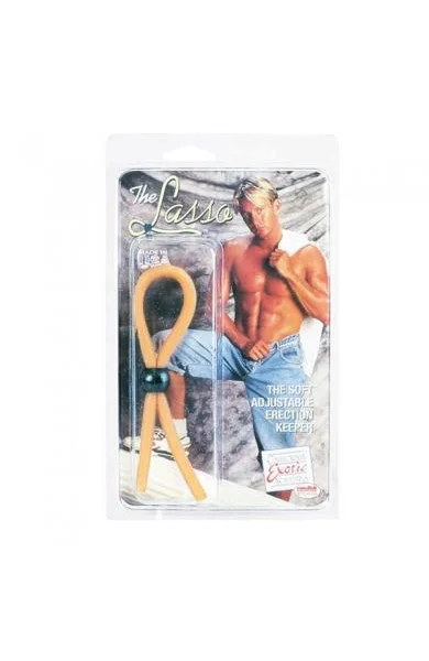 The Lasso