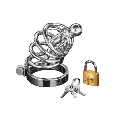 Asylum 4 Ring Locking Chastity Cage Silver