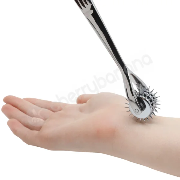 Sinister Steel 3 Wheel Spiked Pleasure Pinwheel