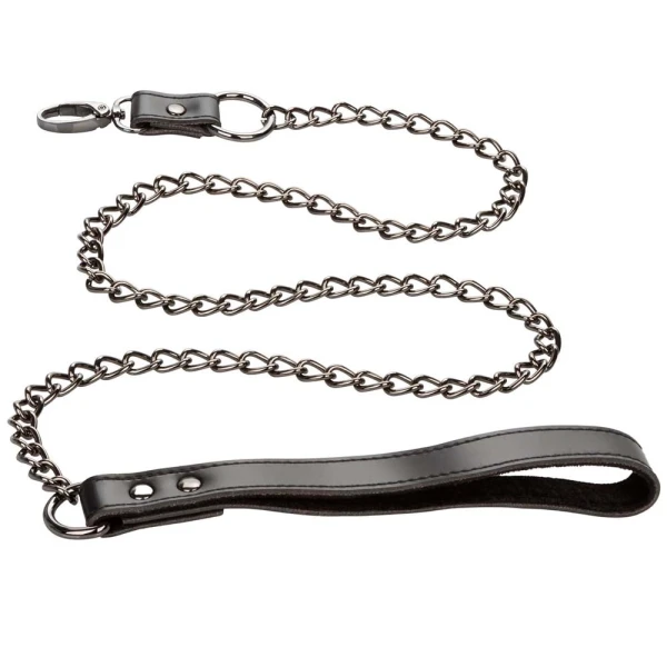 Euphoria Collection Collar With Chain Leash By CalExotics