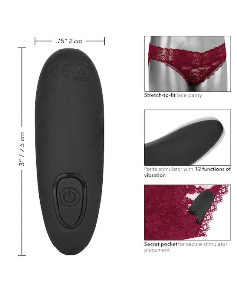Remote Control Lace Panty Set L/XL