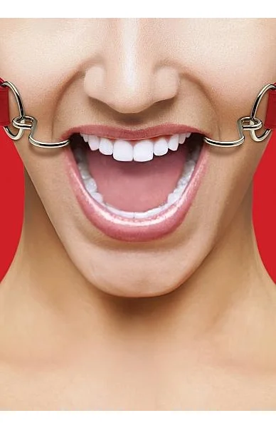 Ouch Hook Gag with Leather Straps O/S