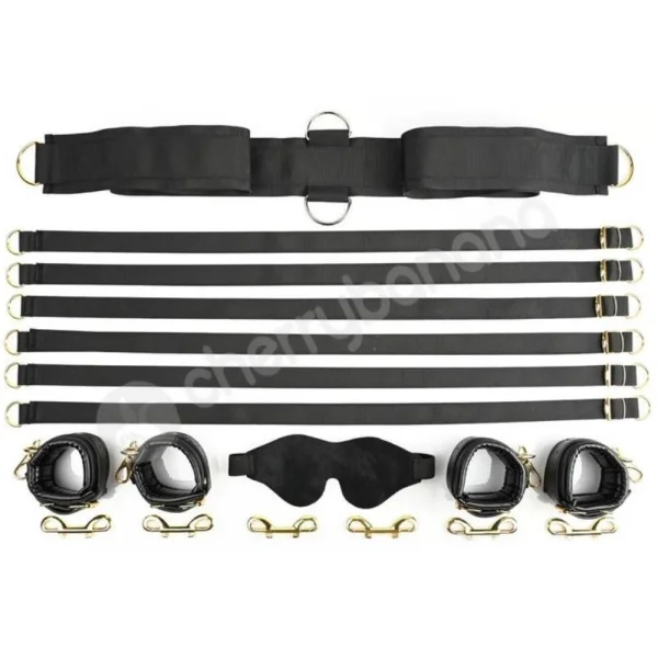 Sportsheets Special Edition Under The Bed Restraint Set With 6 Straps