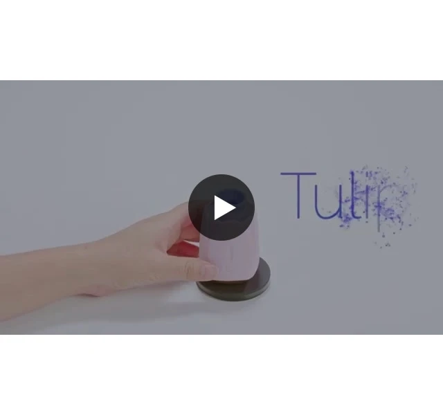 Kiwi Rechargeable Instertable Bullet