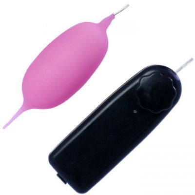 Bondara Teaser Remote Control Vibrating Love Egg