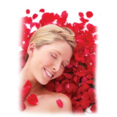 Bed Of Roses Red
