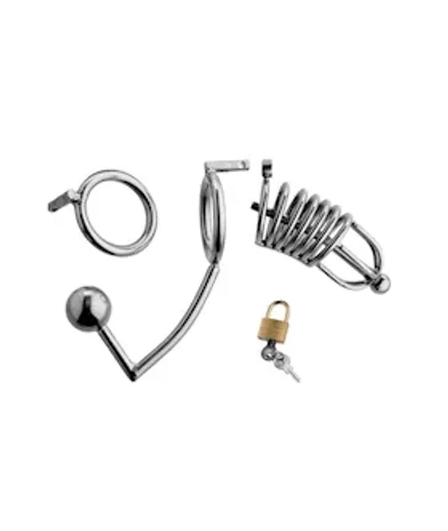 Condemned Cage With Anal Insertion - Silver — image 10 of 13