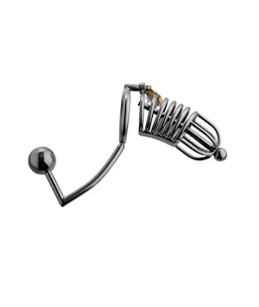 Condemned Cage With Anal Insertion - Silver — image 9 of 13