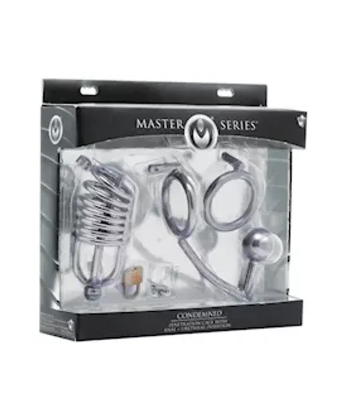 Condemned Cage With Anal Insertion - Silver — image 13 of 13