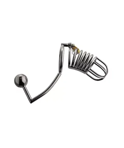 Condemned Cage With Anal Insertion - Silver — image 8 of 13