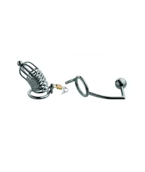 Condemned Cage With Anal Insertion - Silver — image 11 of 13
