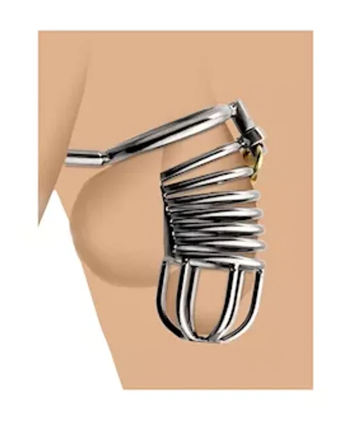 Condemned Cage With Anal Insertion - Silver — image 12 of 13