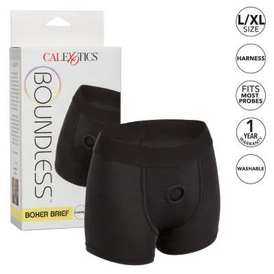 Boundless Boxer Brief L xl