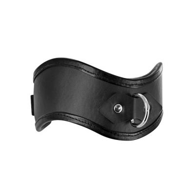 Straight Up Padded Locking Posture Collar