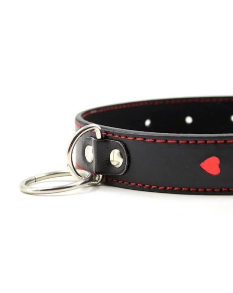 Full Control Collar And Leash