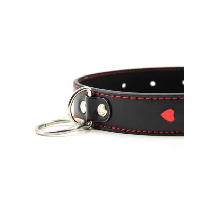 Full Control Collar And Leash