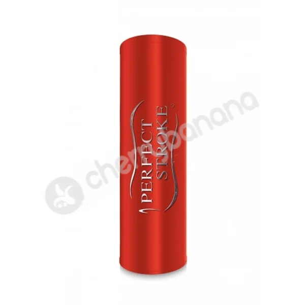 Perfect Stroke Masturbator With Ass Stroker