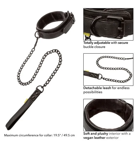 Boundless Collar and Leash