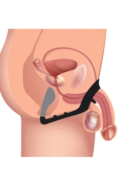 Excursion Silicone Triple Stim Anal Plug with Cock and Ball Ring — image 17 of 17