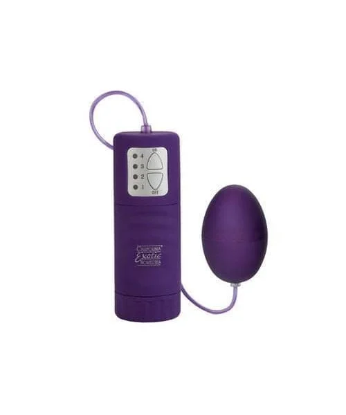 Waterproof Pocket Exotics Waterproof  Egg - Purple