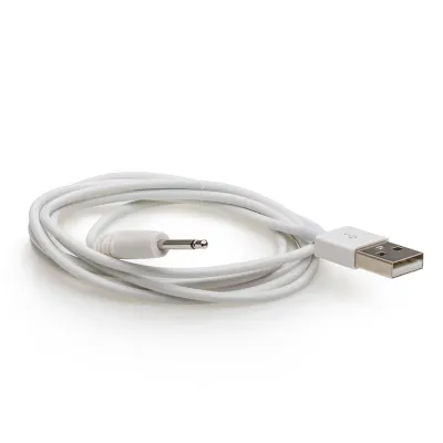 We Vibe Rave Replacement USB Charger