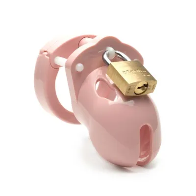 Mr Stubb 1 75 Inch Chastity Cock Cage Kit