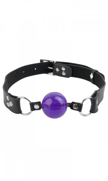 Fetish Fantasy Penis Ball Gag