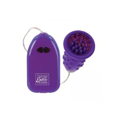 Pleasure Kiss Arouser Purple Vibrator
