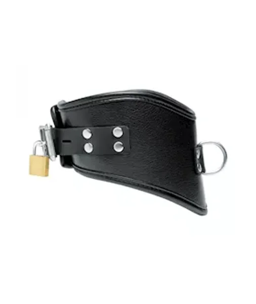 Leather Posture Collar With Leash - Black — image 7 of 8