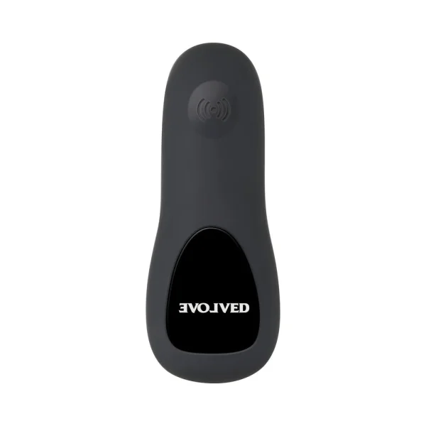 Evolved Plug & Play