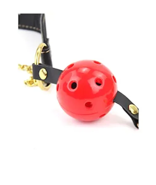 Ball Gag with Nipple Clamps — image 23 of 25