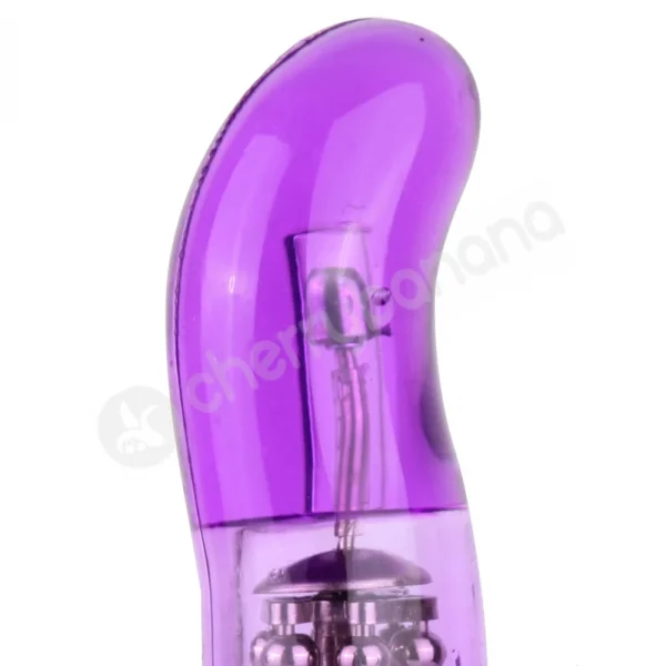 Cherry Banana Wet Dreamer 15 Function Purple Dolphin Vibrator