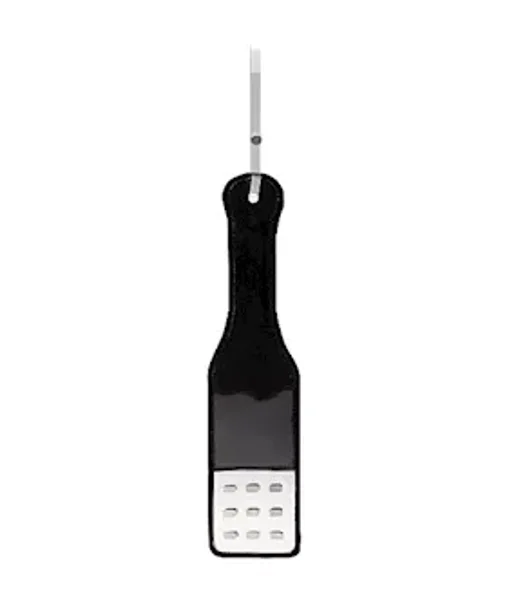 Translucent Paddle With  Stripes - Black - — image 2 of 2