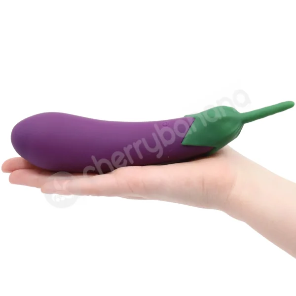Healthy Habits 10 Speed Eggplant Vibrator
