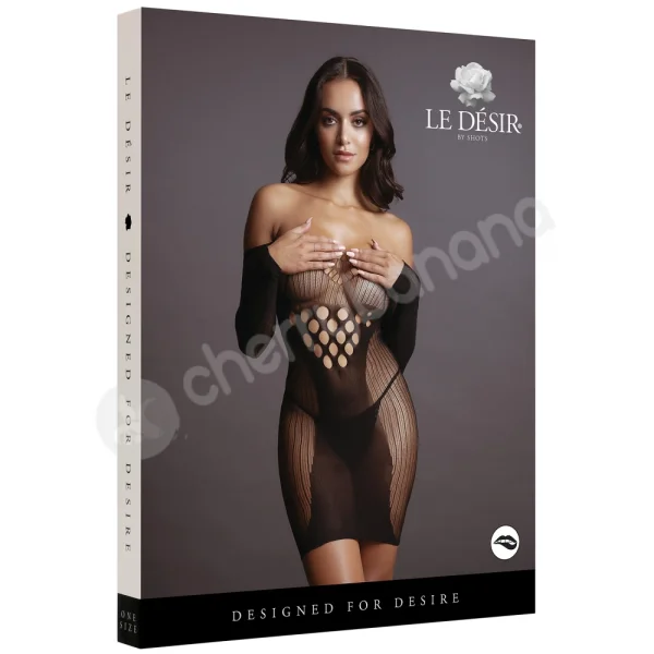 Le Desir Net Long-Sleeve Mini Dress