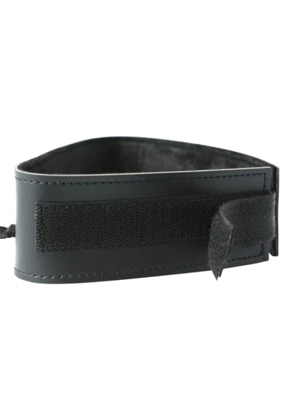 Black Leash and Collar