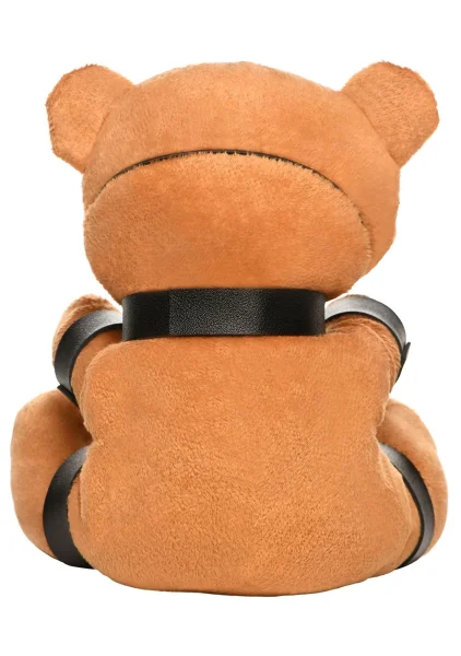 Gagged Teddy Bear Plush