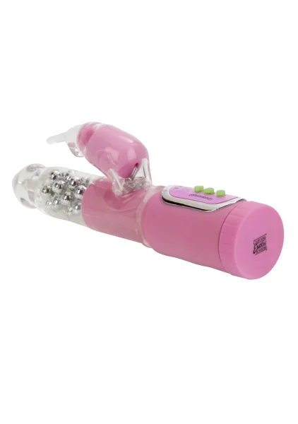 First time jack rabbit