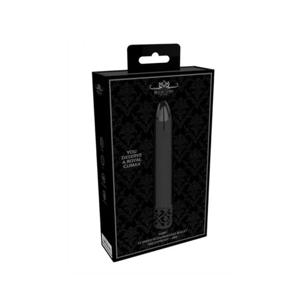 Royal Gems - Shiny Abs Rechargeable Bullet Gunmetal