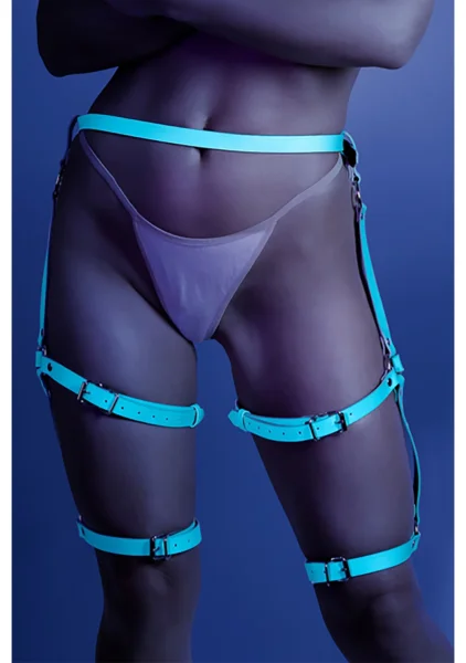 Buckle Up Leg Harness