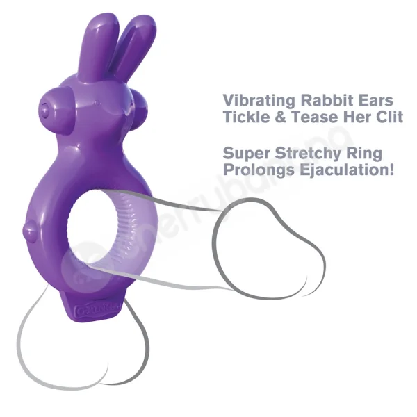 Fantasy C-ringz Ultimate Rabbit Cock Ring