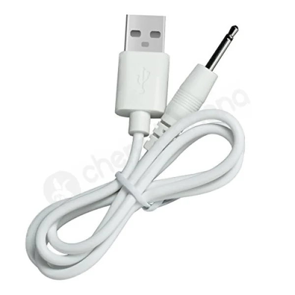 Shibari My Wand White Wireless 2 Speed Massage Wand Vibrator