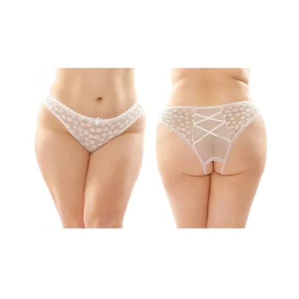 Daisy Crotchless Lace And Mesh Panty With Criss-cross Panel Back 6-pack Q/s White