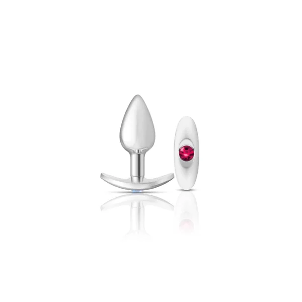 Cheeky Charms - Silver Metal Butt Plug Kit - Clear- Bright Pink