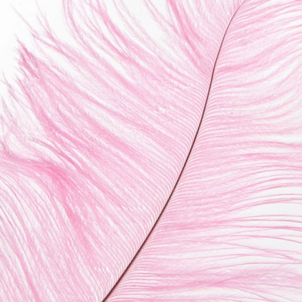 Bondara Ostrich Feather Teaser - 16 Inch