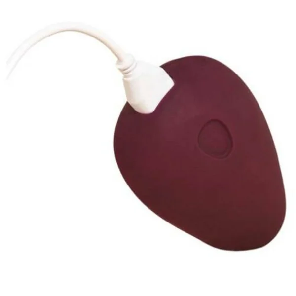 Dame Pom Vibrator